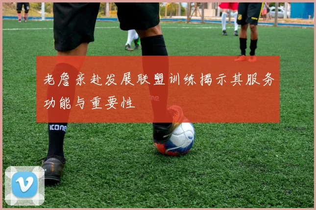 老詹亲赴发展联盟训练揭示其服务功能与重要性