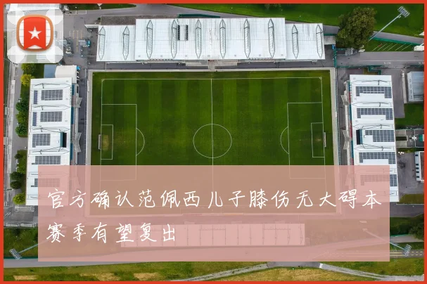 官方确认范佩西儿子膝伤无大碍本赛季有望复出