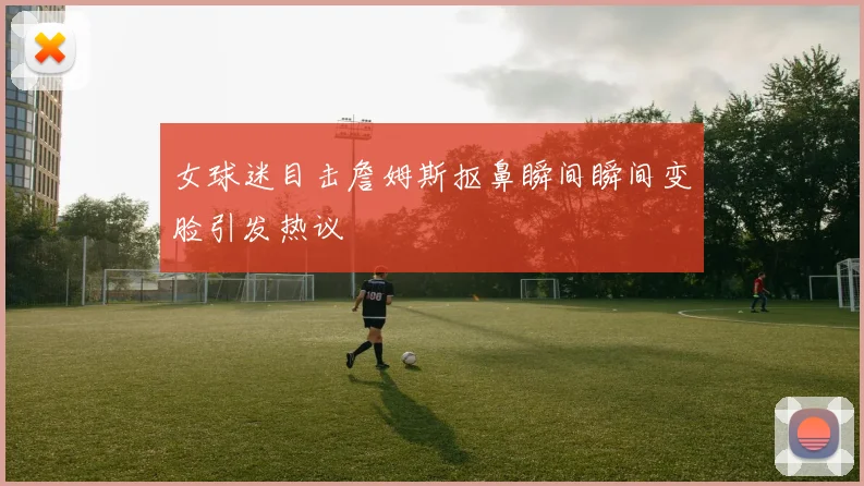 女球迷目击詹姆斯抠鼻瞬间瞬间变脸引发热议