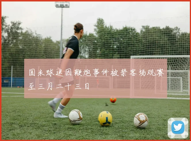 国米球迷因鞭炮事件被禁客场观赛至三月二十三日